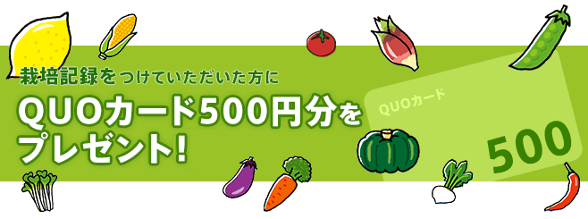 収穫まで栽培記録をつけていただいた方にQUOカード500円分をプレゼント！　2014/4/30まで