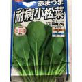 小松菜（浜美2号）種まき