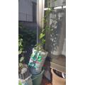 水風船でブヨブヨ