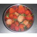 露地栽培桃薫初収穫，写真の中の色が薄いイチゴが桃薫