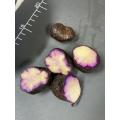 紫山芋のむかご