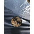 一期目の枝豆播種