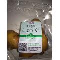 イオンで買った生姜を種芋に(´・ω・`)