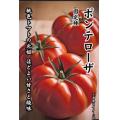 こんな感じ