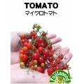 マイクロトマト　収穫予想図