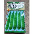 パッケージ（表面）
